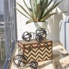 COFRE LÍNEAS CHEVRON