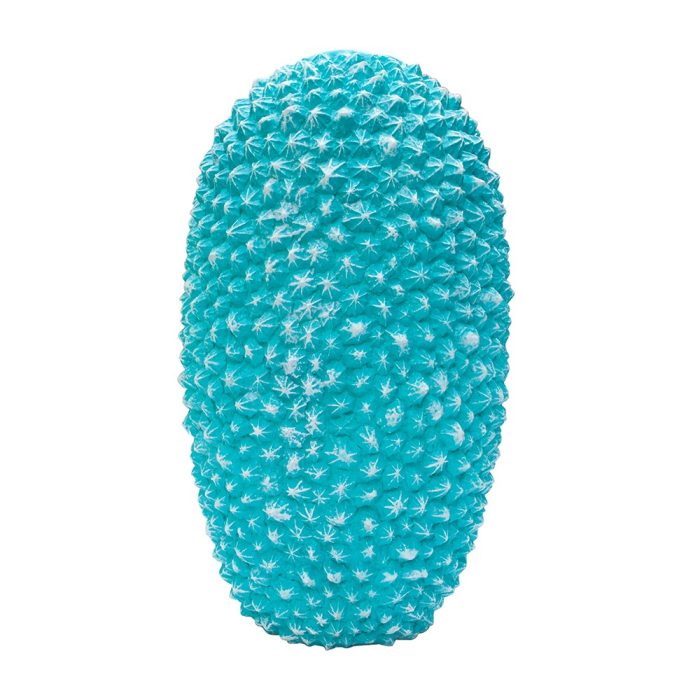 JARRÓN ERIZO DE MAR