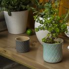 JARRÓN BÁSICO CAPITANE