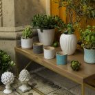 JARRÓN BÁSICO CAPÍTANE