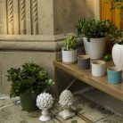 JARRÓN BÁSICO CAPÍTANE