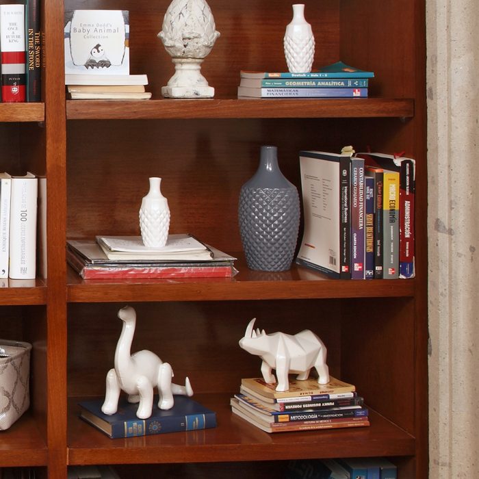 RINOCERONTE GEOMÉTRICO