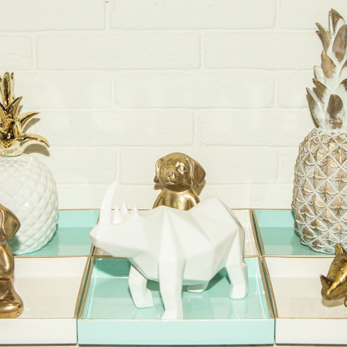 RINOCERONTE GEOMÉTRICO