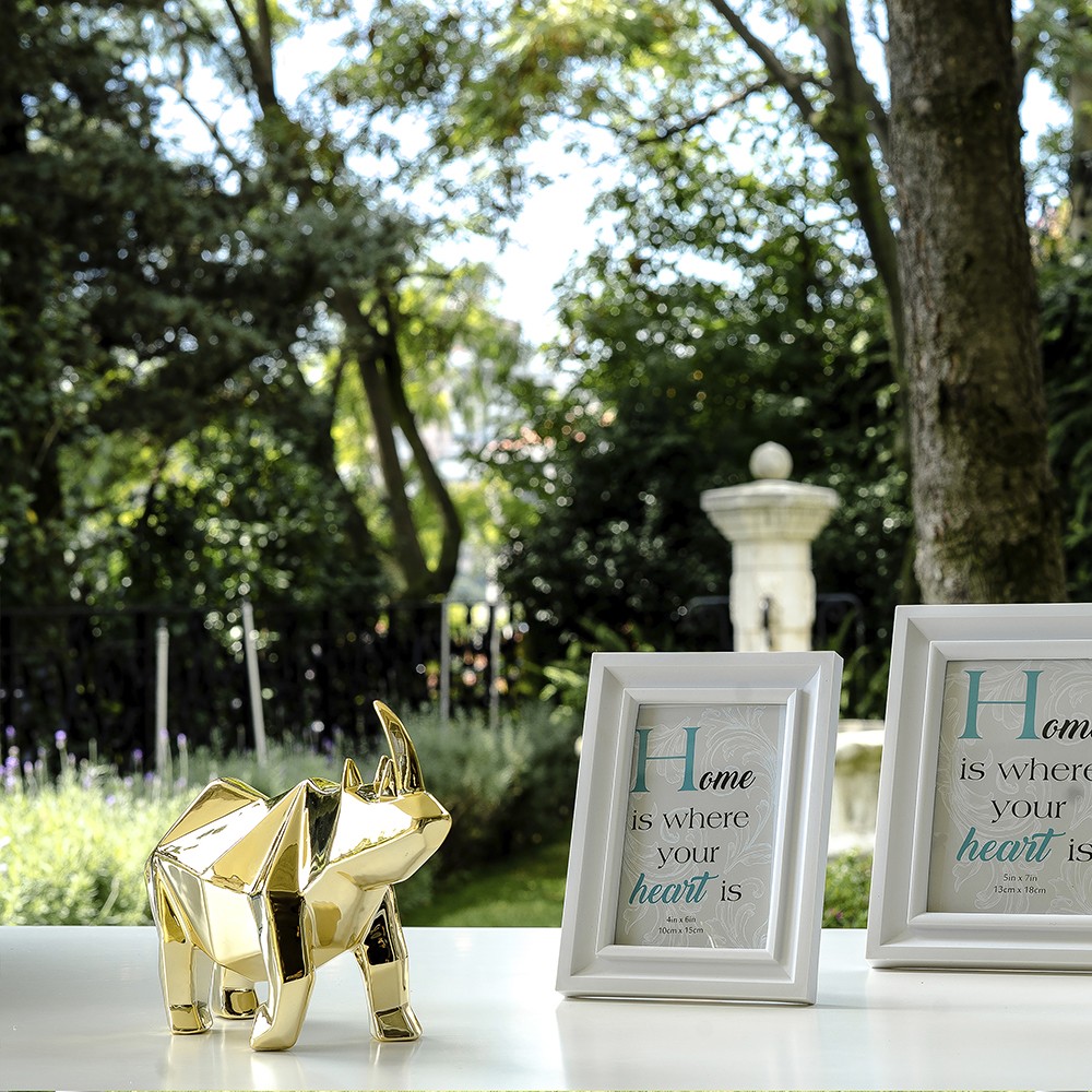 RINOCERONTE GEOMÉTRICO