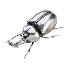 ESCARABAJO RINOCERONTE