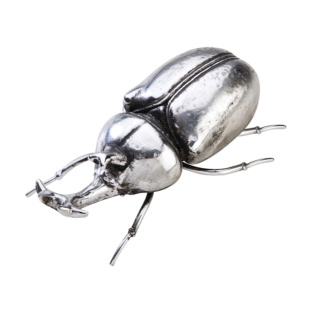 ESCARABAJO RINOCERONTE