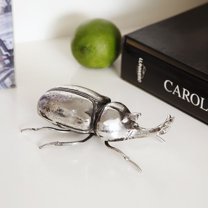 ESCARABAJO RINOCERONTE