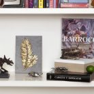 ESCARABAJO RINOCERONTE