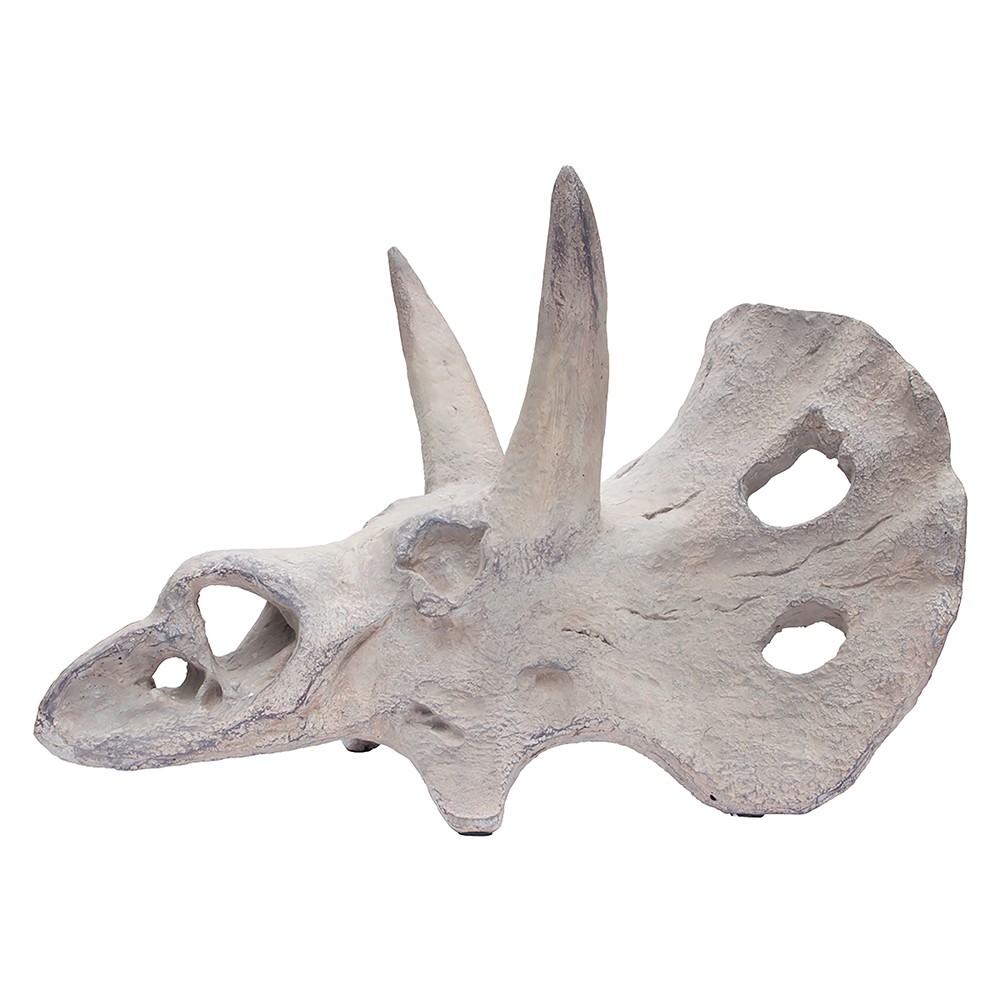FÓSIL TRICERATOPS