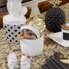 VASIJA CON TAPA CACTUS