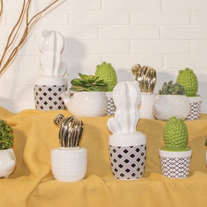 VASIJA CON TAPA CACTUS