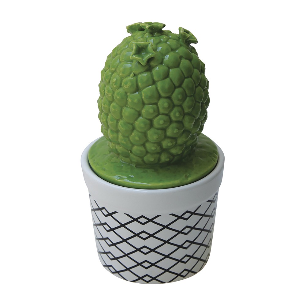 VASIJA CON TAPA CACTUS