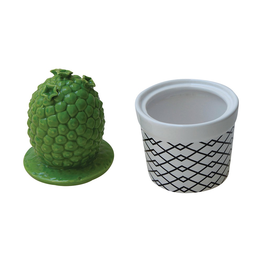 VASIJA CON TAPA CACTUS