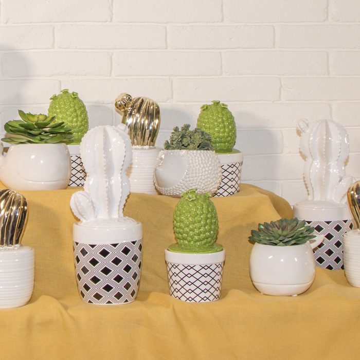 VASIJA CON TAPA CACTUS