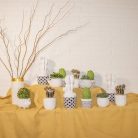 VASIJA CON TAPA CACTUS